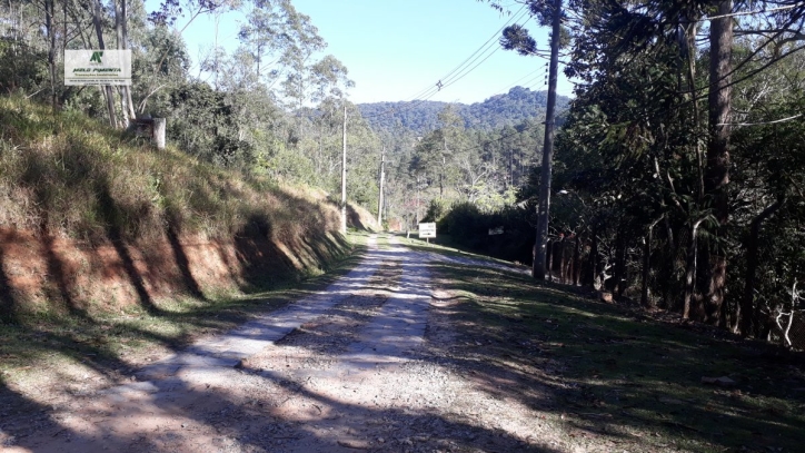 Terreno à venda, 1400m² - Foto 2