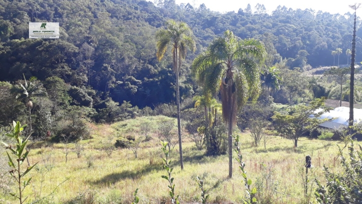 Terreno à venda, 1400m² - Foto 3