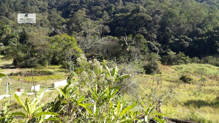 Terreno à venda, 1400m² - Foto 6