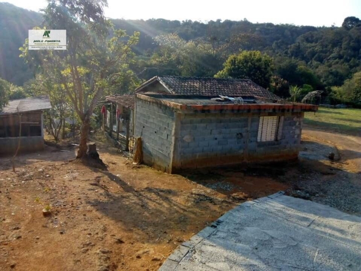 Fazenda à venda com 3 quartos, 18000m² - Foto 1