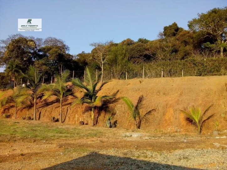 Fazenda à venda com 3 quartos, 18000m² - Foto 2