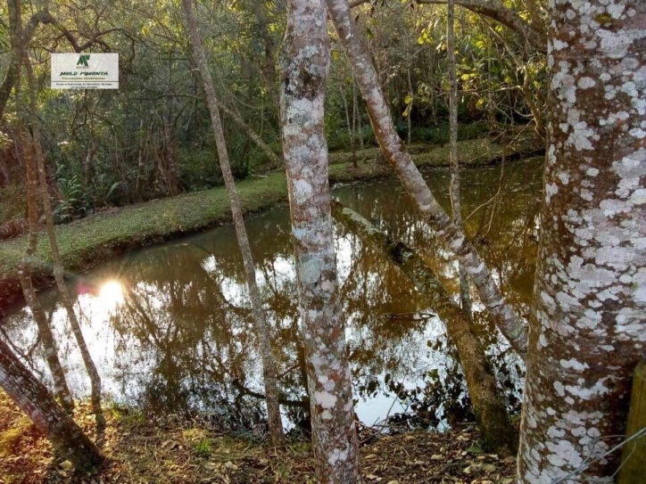 Fazenda à venda com 3 quartos, 18000m² - Foto 7