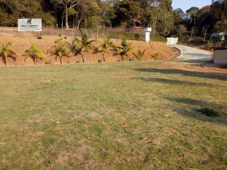 Fazenda à venda com 3 quartos, 18000m² - Foto 8