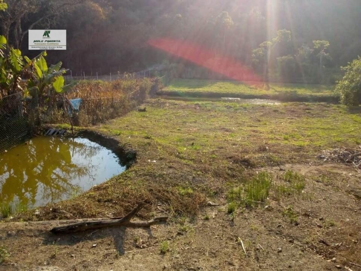 Fazenda à venda com 3 quartos, 18000m² - Foto 10