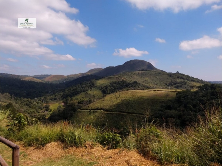 Fazenda à venda com 2 quartos, 2500m² - Foto 1