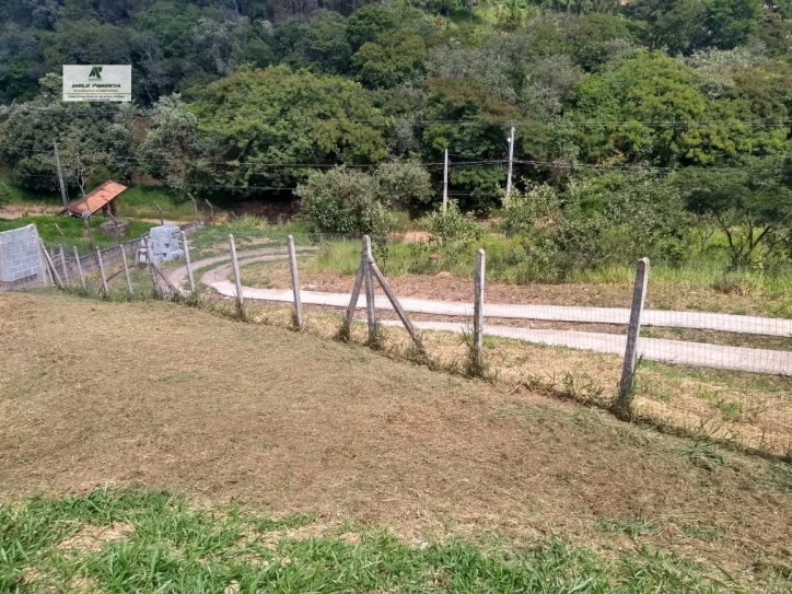 Fazenda à venda com 2 quartos, 2500m² - Foto 5