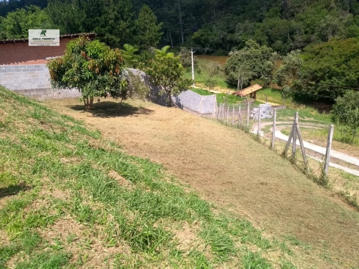 Fazenda à venda com 2 quartos, 2500m² - Foto 6