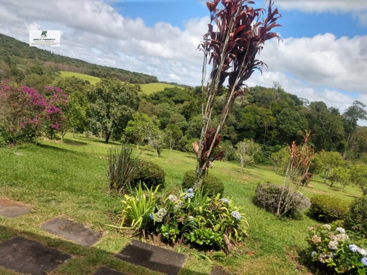 Fazenda à venda com 3 quartos, 172000m² - Foto 20