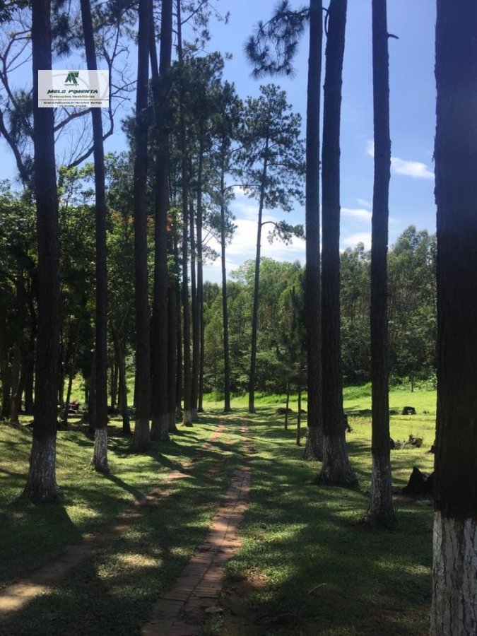 Fazenda à venda com 3 quartos, 172000m² - Foto 22