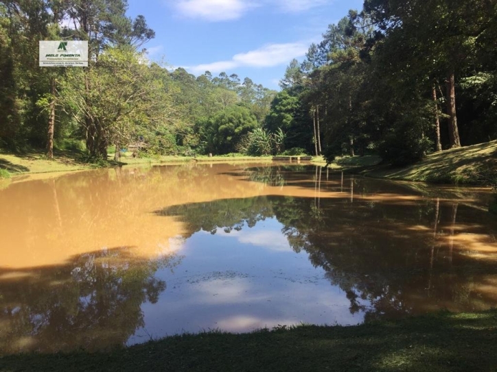 Fazenda à venda com 3 quartos, 172000m² - Foto 23