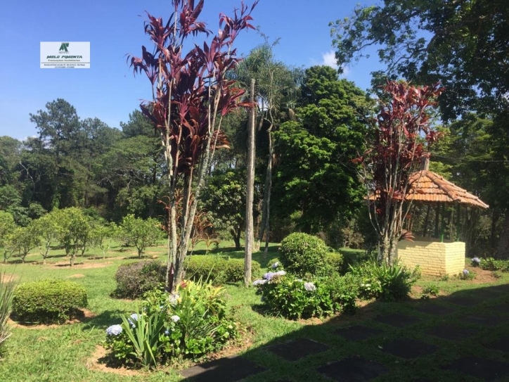 Fazenda à venda com 3 quartos, 172000m² - Foto 26