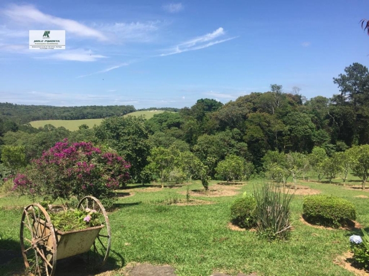 Fazenda à venda com 3 quartos, 172000m² - Foto 27