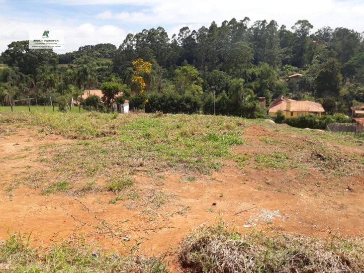 Terreno à venda, 2800m² - Foto 3