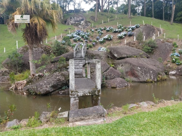 Fazenda à venda com 6 quartos, 22000m² - Foto 5