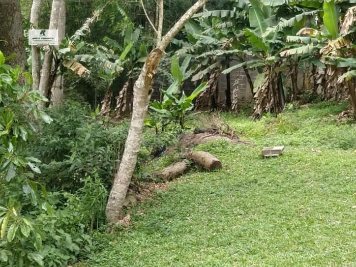 Fazenda à venda com 6 quartos, 22000m² - Foto 7