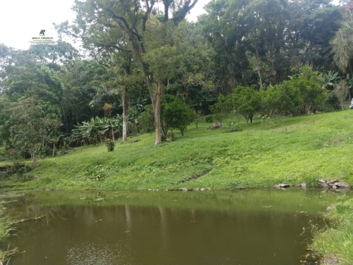 Fazenda à venda com 6 quartos, 22000m² - Foto 8