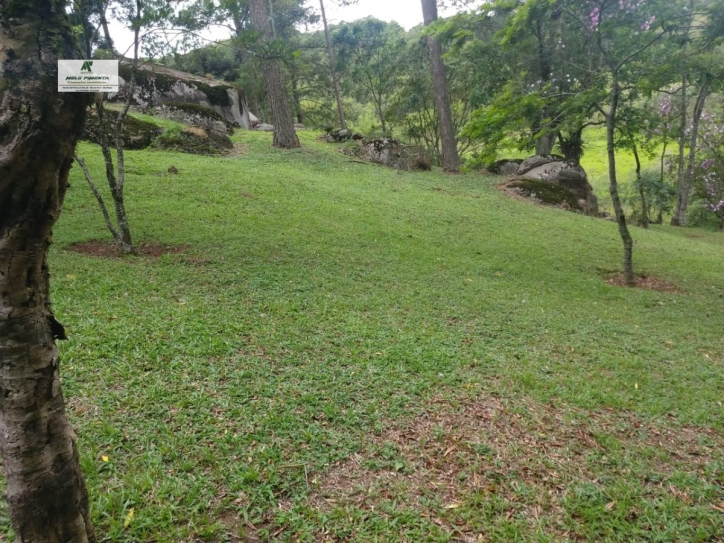 Fazenda à venda com 6 quartos, 22000m² - Foto 9