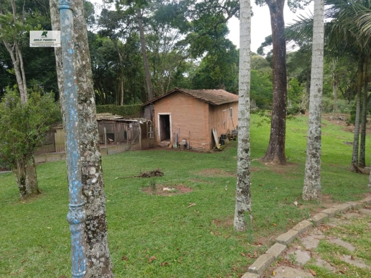 Fazenda à venda com 6 quartos, 22000m² - Foto 11