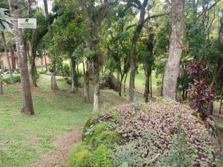 Fazenda à venda com 6 quartos, 22000m² - Foto 14