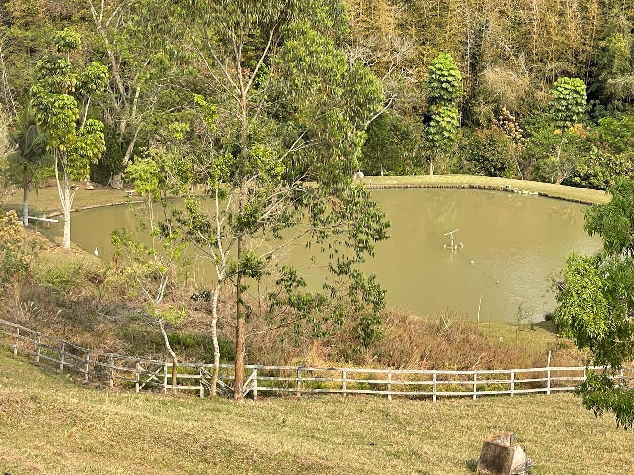 Fazenda à venda com 5 quartos, 15000m² - Foto 2