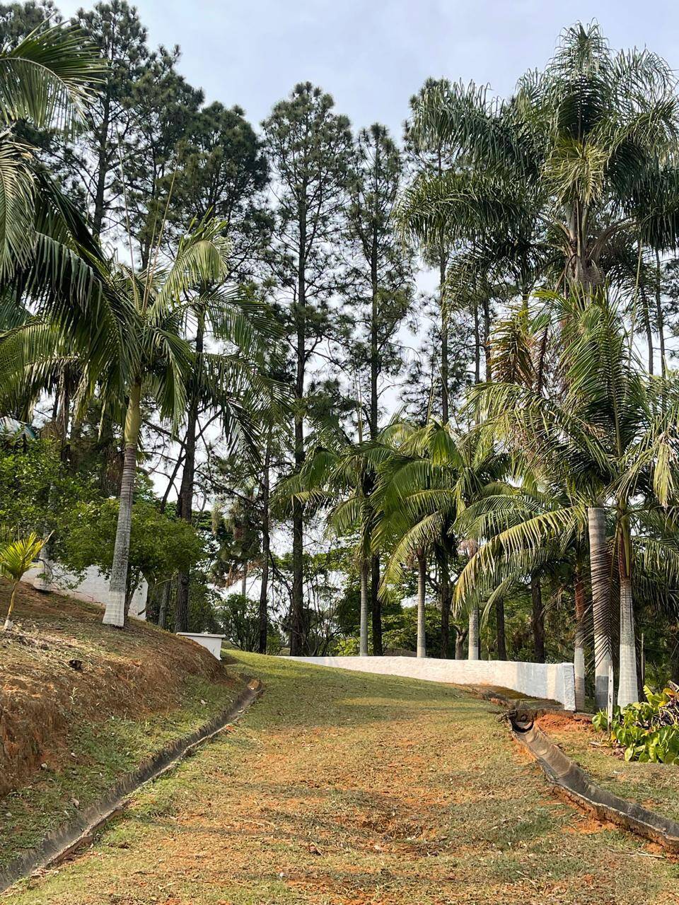 Fazenda à venda com 5 quartos, 15000m² - Foto 21