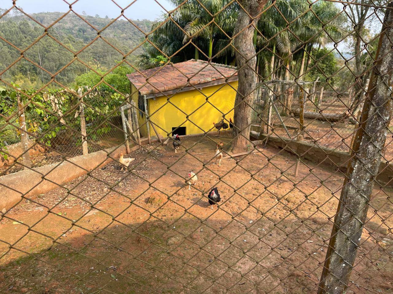 Fazenda à venda com 5 quartos, 15000m² - Foto 44