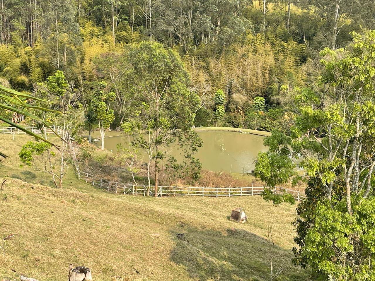 Fazenda à venda com 5 quartos, 15000m² - Foto 49