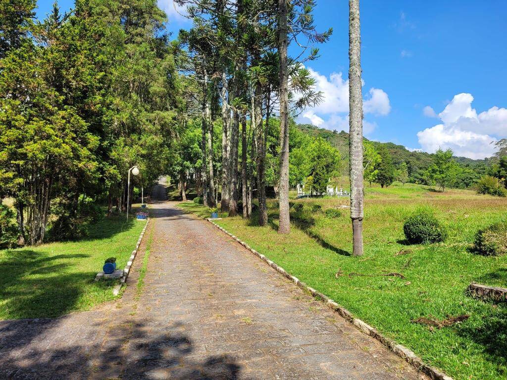 Fazenda à venda com 6 quartos, 1900m² - Foto 3