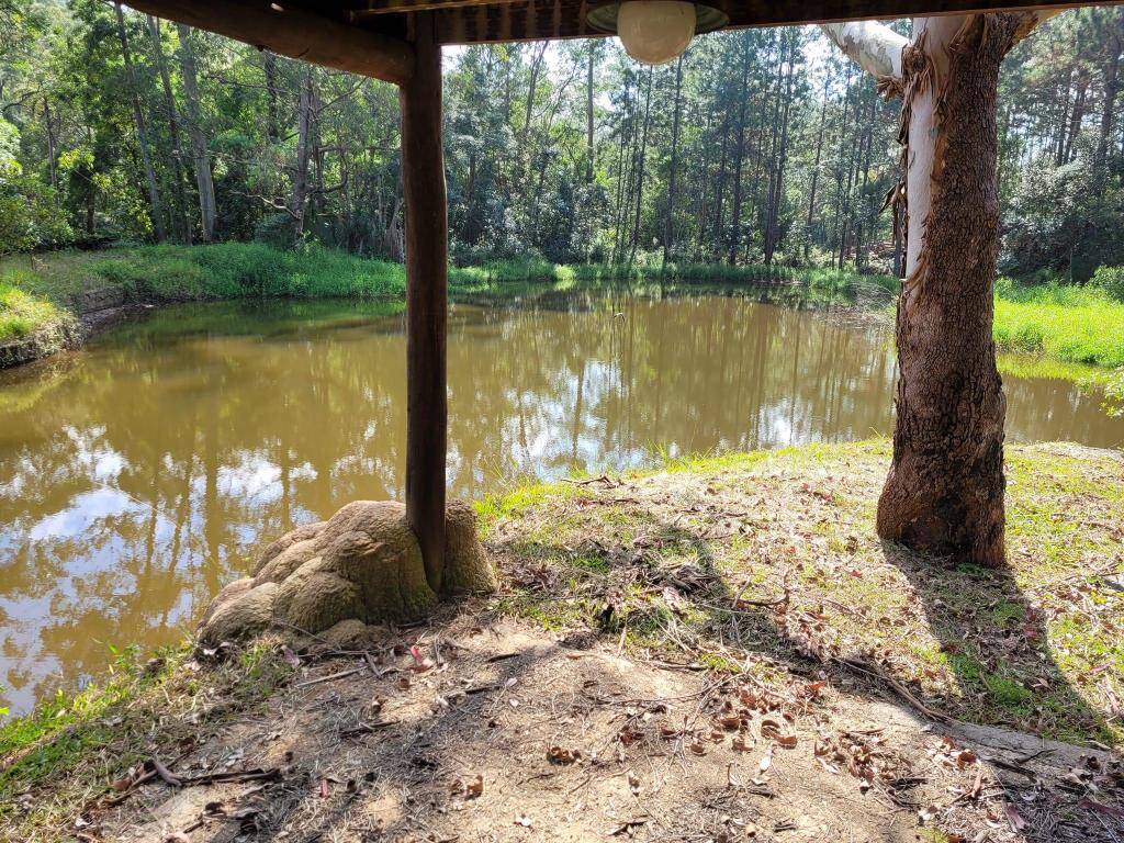 Fazenda à venda com 6 quartos, 1900m² - Foto 22