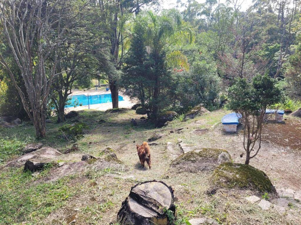 Fazenda à venda com 6 quartos, 1900m² - Foto 34