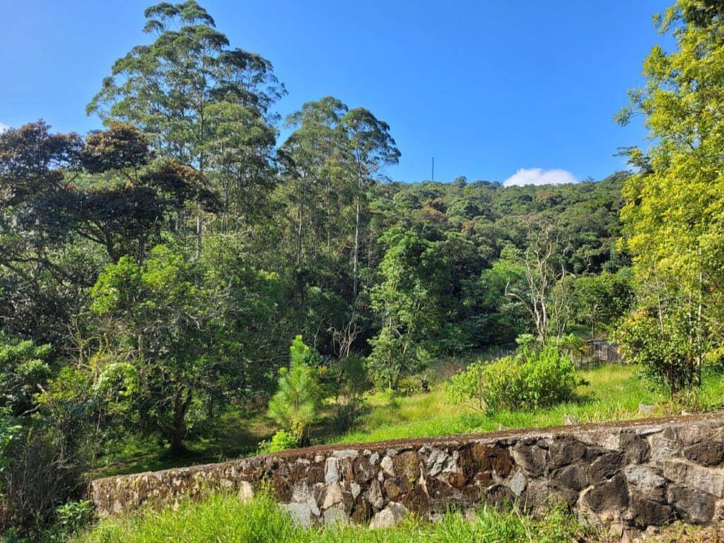 Fazenda à venda com 6 quartos, 1900m² - Foto 39