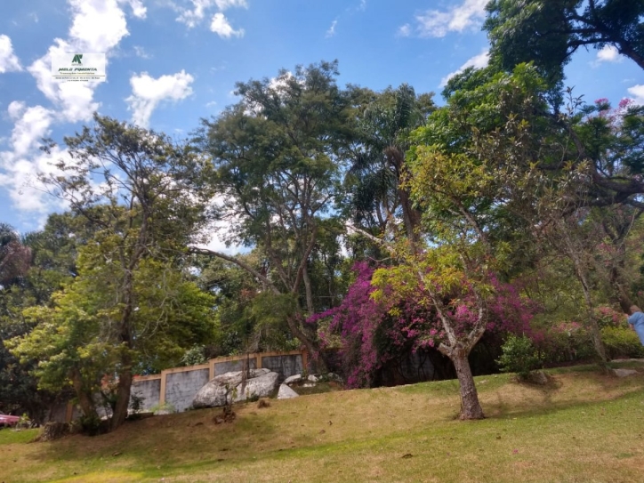 Fazenda à venda com 3 quartos, 24000m² - Foto 4