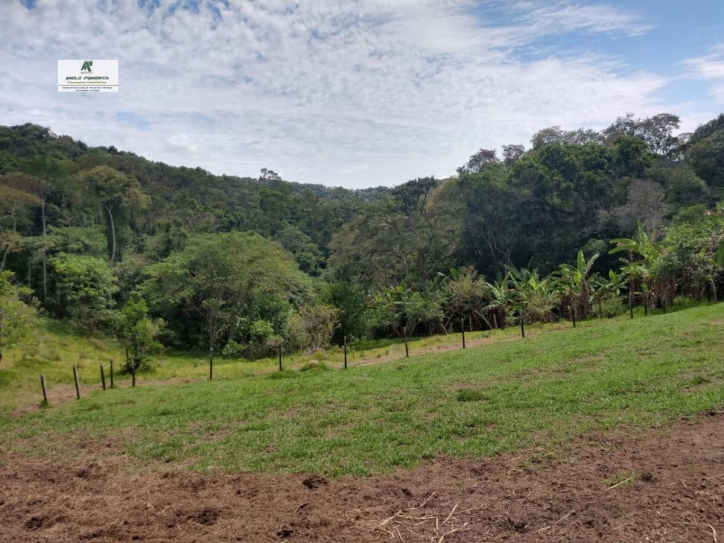 Fazenda à venda com 3 quartos, 24000m² - Foto 5