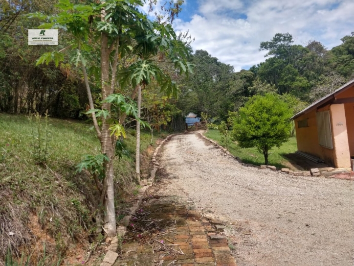 Fazenda à venda com 3 quartos, 24000m² - Foto 7