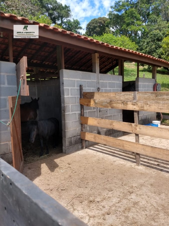 Fazenda à venda com 3 quartos, 24000m² - Foto 9