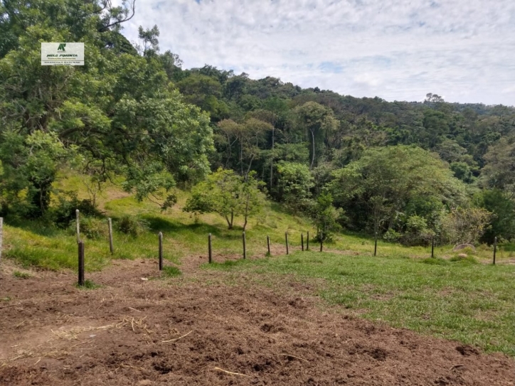 Fazenda à venda com 3 quartos, 24000m² - Foto 15