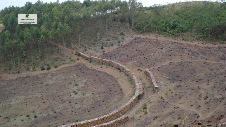 Fazenda à venda com 3 quartos, 84700m² - Foto 1