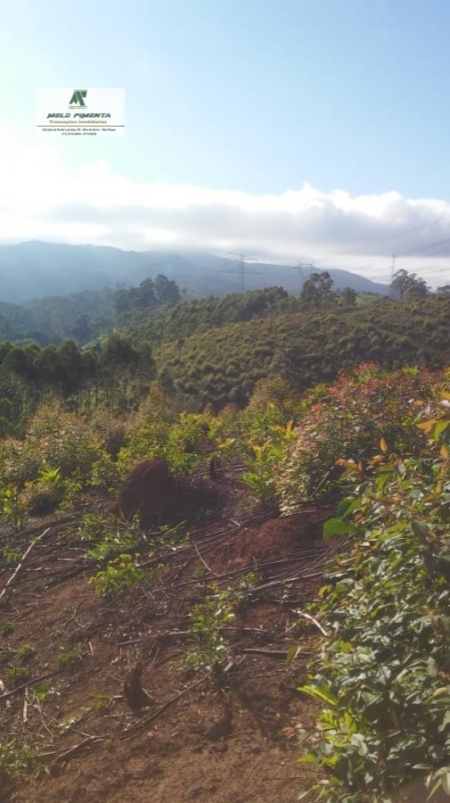 Fazenda à venda com 3 quartos, 84700m² - Foto 3