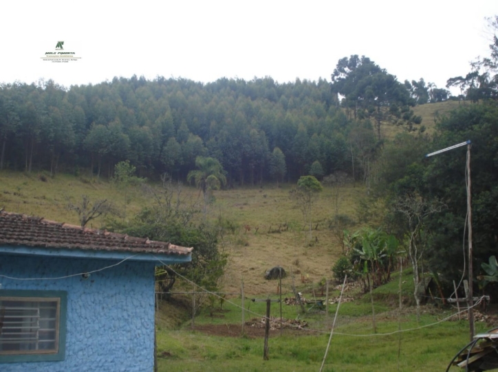 Fazenda à venda com 3 quartos, 84700m² - Foto 9