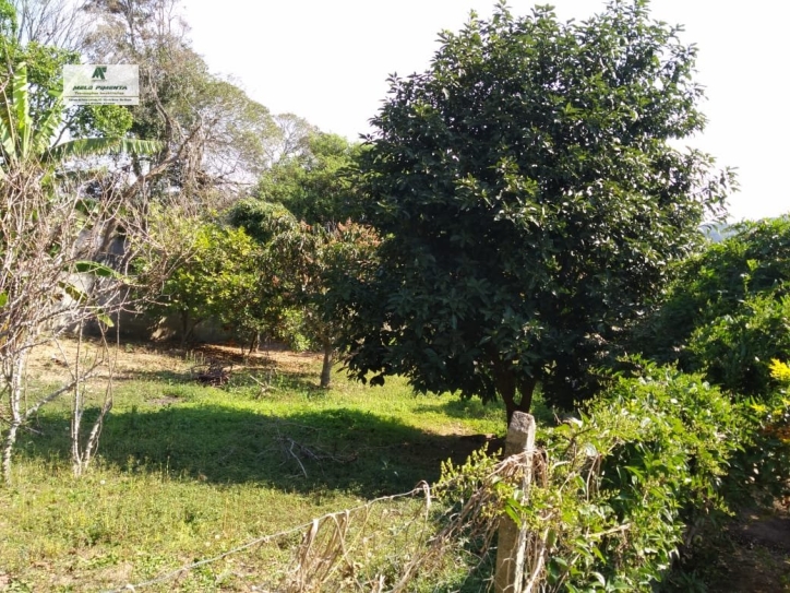 Fazenda à venda com 2 quartos, 3000m² - Foto 27