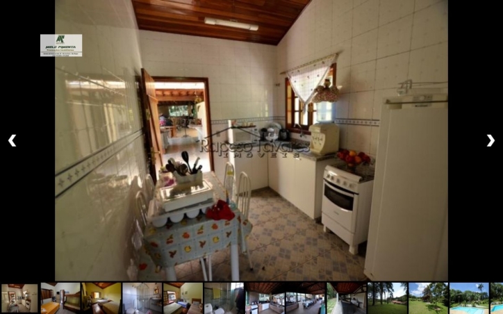 Fazenda à venda com 3 quartos, 24500m² - Foto 6