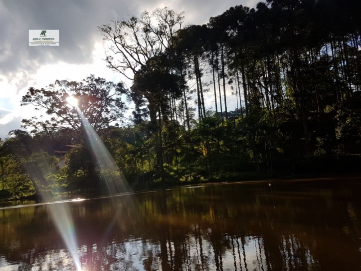 Fazenda à venda com 3 quartos, 24500m² - Foto 9