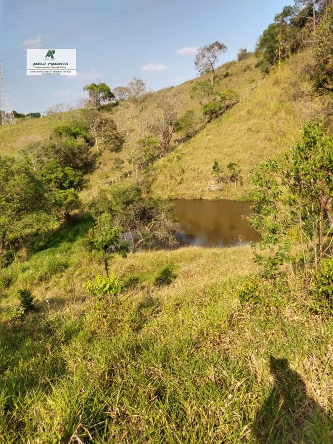 Fazenda à venda com 3 quartos, 108900m² - Foto 5