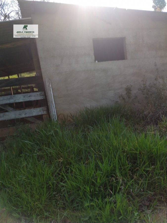 Fazenda à venda com 3 quartos, 108900m² - Foto 8