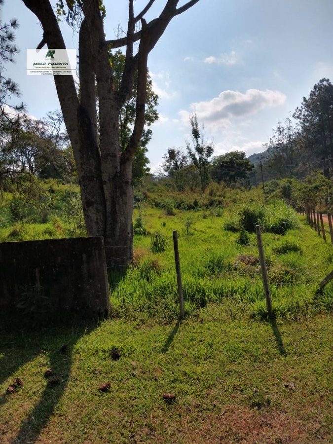 Fazenda à venda com 3 quartos, 108900m² - Foto 12