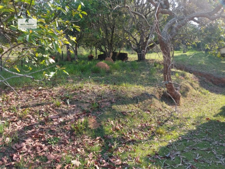 Fazenda à venda com 3 quartos, 108900m² - Foto 18