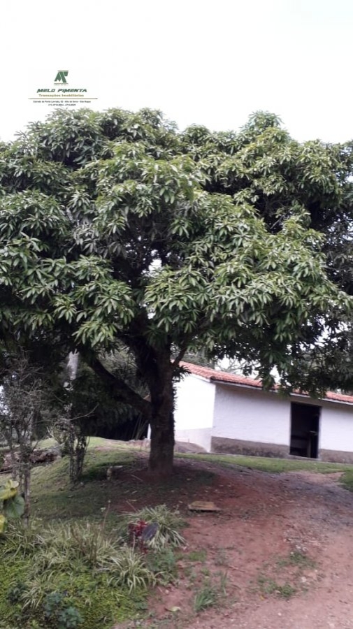 Fazenda à venda com 5 quartos, 22952m² - Foto 11