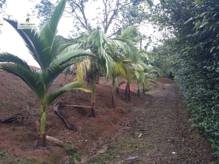 Fazenda à venda com 2 quartos, 2600m² - Foto 21