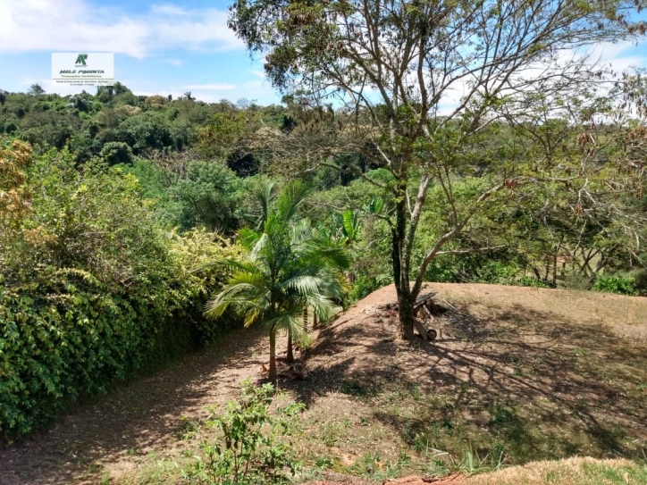 Fazenda à venda com 2 quartos, 2600m² - Foto 22