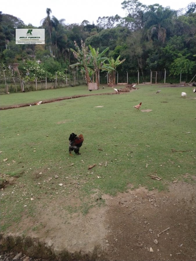 Fazenda à venda com 2 quartos, 3139m² - Foto 1